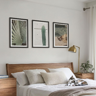 Conjunto de quadros para sala de estar Acessórios para plantas tropicais
