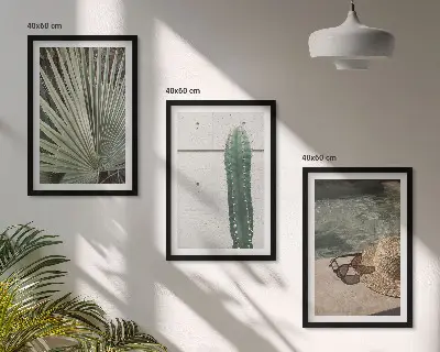 Conjunto de quadros para sala de estar com temática de acessórios para plantas tropicais