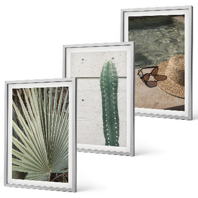 Conjunto de quadros para sala de estar Acessórios para plantas tropicais