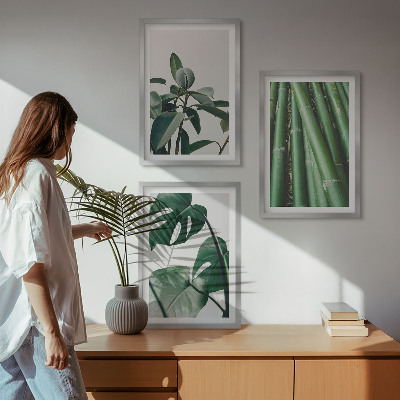 Conjunto de 3 quadros com moldura Caules de bambu e folhas de monstera