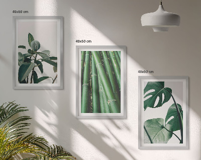 Conjunto de 3 quadros com moldura Caules de bambu e folhas de monstera