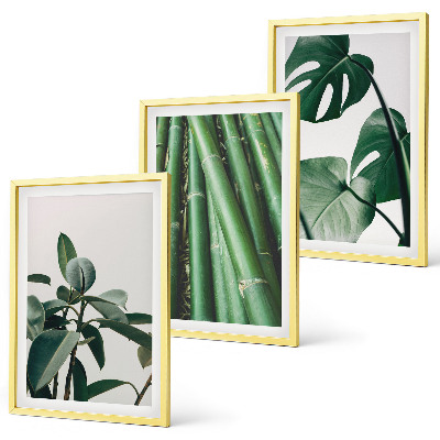Conjunto de 3 quadros com moldura Caules de bambu e folhas de monstera