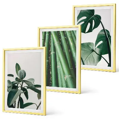 Conjunto de 3 quadros com moldura com estampa de caules de bambu e folhas de monstera
