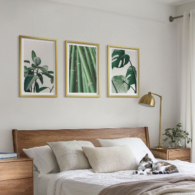 Conjunto de 3 quadros com moldura Caules de bambu e folhas de monstera