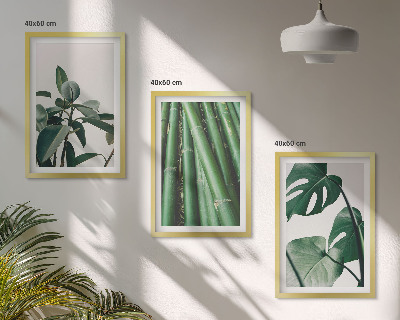Conjunto de 3 quadros com moldura Caules de bambu e folhas de monstera