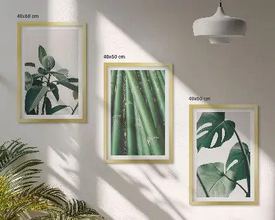Conjunto de 3 quadros com moldura com estampa de caules de bambu e folhas de monstera