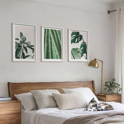 Conjunto de 3 quadros com moldura Caules de bambu e folhas de monstera