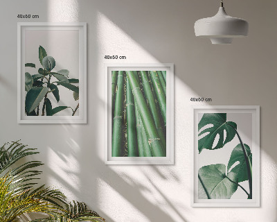 Conjunto de 3 quadros com moldura Caules de bambu e folhas de monstera