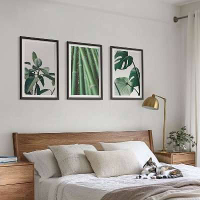 Conjunto de 3 quadros com moldura Caules de bambu e folhas de monstera