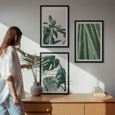 Conjunto de 3 quadros com moldura Caules de bambu e folhas de monstera