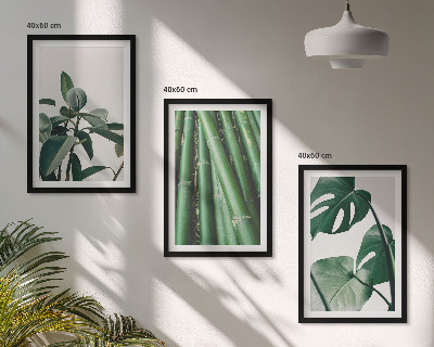 Conjunto de 3 quadros com moldura Caules de bambu e folhas de monstera