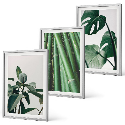 Conjunto de 3 quadros com moldura Caules de bambu e folhas de monstera