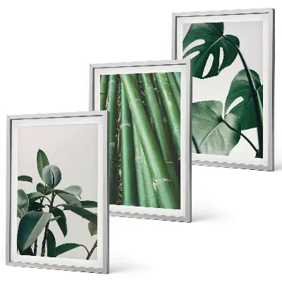 Conjunto de 3 quadros com moldura com estampa de caules de bambu e folhas de monstera