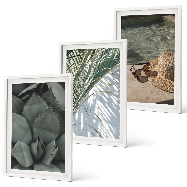 Conjunto de quadros para sala de estar Plantas tropicais para férias