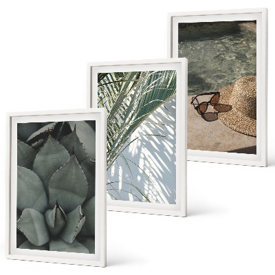 Conjunto de quadros para sala de estar Plantas tropicais para férias