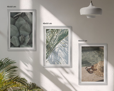 Conjunto de quadros para sala de estar Plantas tropicais para férias