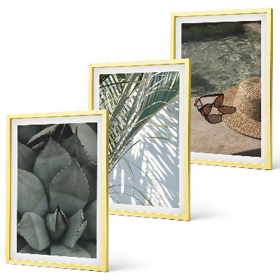 Conjunto de quadros para sala de estar Plantas tropicais para férias