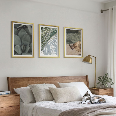 Conjunto de quadros para sala de estar Plantas tropicais para férias