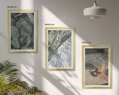 Conjunto de quadros para sala de estar Plantas tropicais para férias