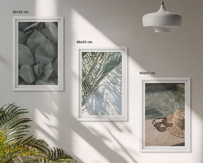 Conjunto de quadros para sala de estar Plantas tropicais para férias