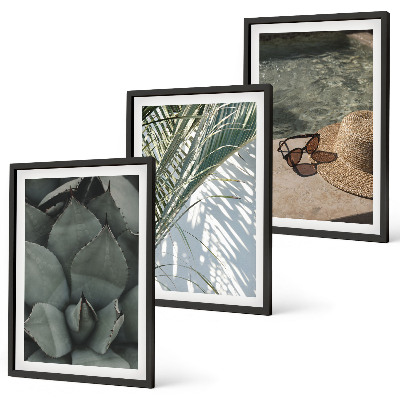 Conjunto de quadros para sala de estar Plantas tropicais para férias