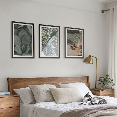 Conjunto de quadros para sala de estar Plantas tropicais para férias
