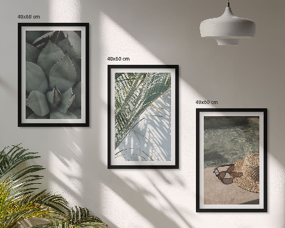 Conjunto de quadros para sala de estar Plantas tropicais para férias