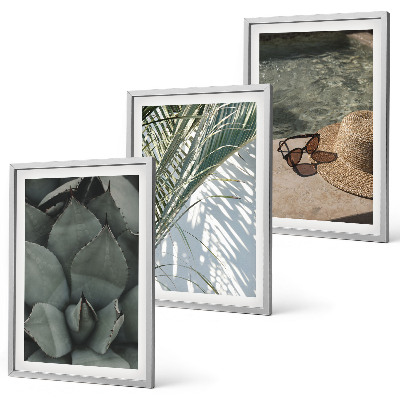Conjunto de quadros para sala de estar Plantas tropicais para férias