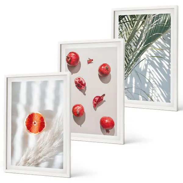 Conjunto de 3 quadros com moldura de fruta de palmeira de natal