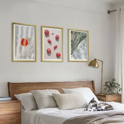 Conjunto de 3 quadros com moldura de fruta de palmeira de natal
