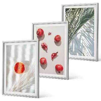 Conjunto de 3 quadros com moldura de fruta de palmeira de natal