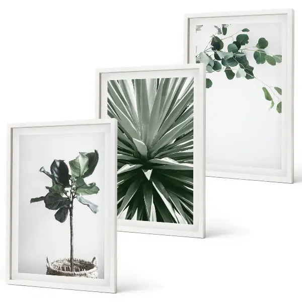 Conjunto de 3 quadros com moldura com arte de minimalismo de plantas verdes