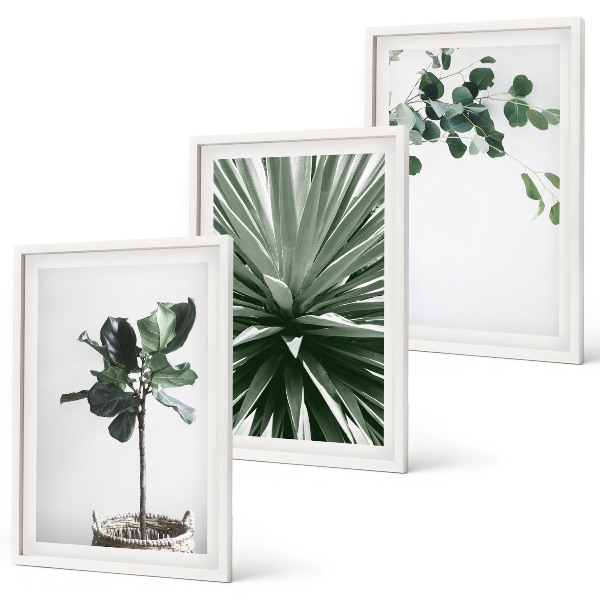 Conjunto de 3 quadros com moldura minimalismo de plantas verdes