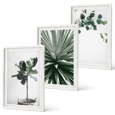 Conjunto de 3 quadros com moldura minimalismo de plantas verdes