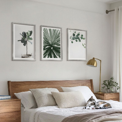 Conjunto de 3 quadros com moldura minimalismo de plantas verdes
