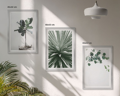 Conjunto de 3 quadros com moldura minimalismo de plantas verdes