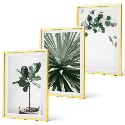 Conjunto de 3 quadros com moldura minimalismo de plantas verdes