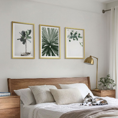 Conjunto de 3 quadros com moldura minimalismo de plantas verdes