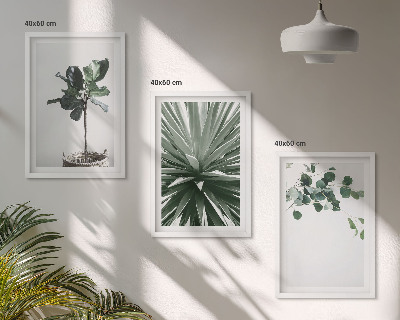 Conjunto de 3 quadros com moldura minimalismo de plantas verdes