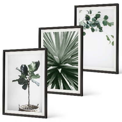 Conjunto de 3 quadros com moldura minimalismo de plantas verdes
