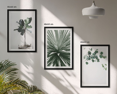 Conjunto de 3 quadros com moldura minimalismo de plantas verdes