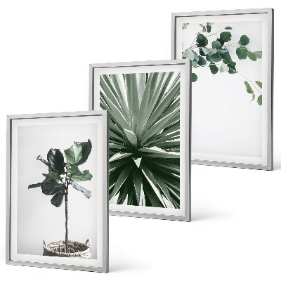 Conjunto de 3 quadros com moldura minimalismo de plantas verdes