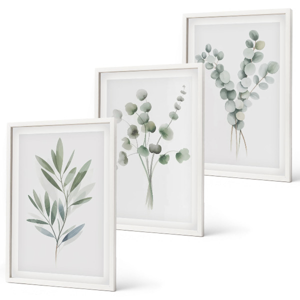 Conjunto de 3 quadros com moldura Padrões de plantas com vegetação