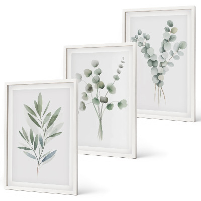 Conjunto de 3 quadros com moldura Padrões de plantas com vegetação