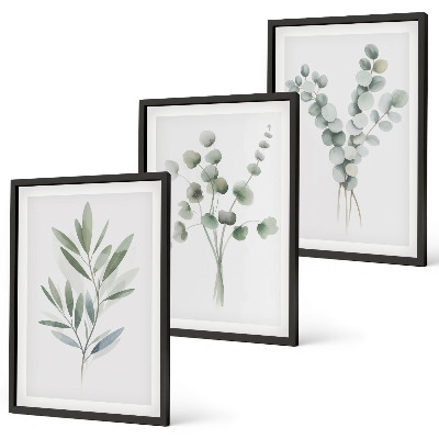 Conjunto de 3 quadros com moldura Padrões de plantas com vegetação