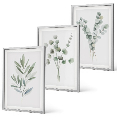 Conjunto de 3 quadros com moldura Padrões de plantas com vegetação