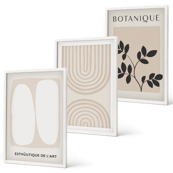 Conjunto de 3 quadros com moldura Pôsteres de plantas delicadas em estilo boho