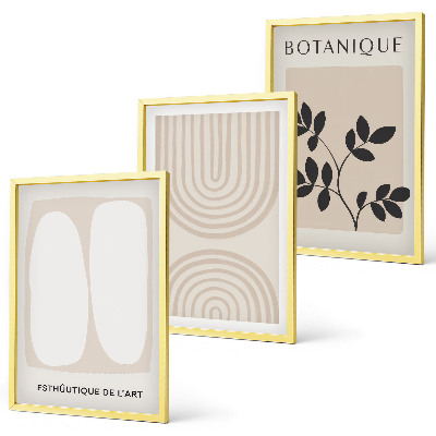 Conjunto de 3 quadros com moldura Pôsteres de plantas delicadas em estilo boho