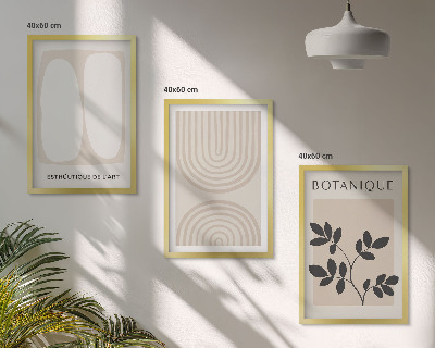Conjunto de 3 quadros com moldura Pôsteres de plantas delicadas em estilo boho
