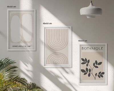 Conjunto de 3 quadros com moldura Pôsteres de plantas delicadas em estilo boho